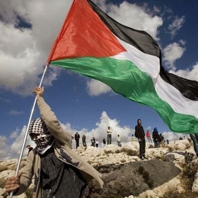 AmirIsmail_01's profile picture. 