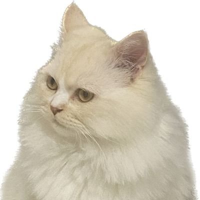 RaufRaufpathan's profile picture. QC Manager