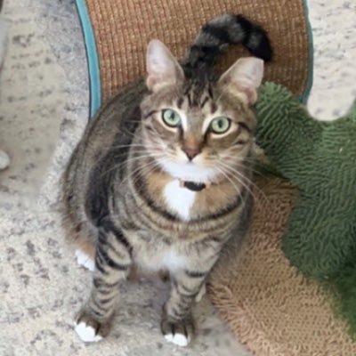 twelveyroldboy's profile picture. 