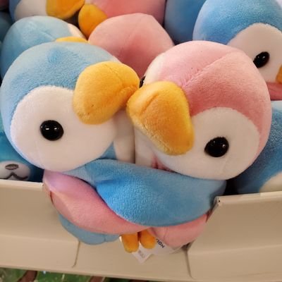 demi_0929's profile picture. 名古屋大学落語研究会58期
尻釘、ウイスキー入れまくり
