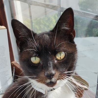 liv_2209's profile picture. 