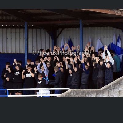 LousterC's profile picture. 