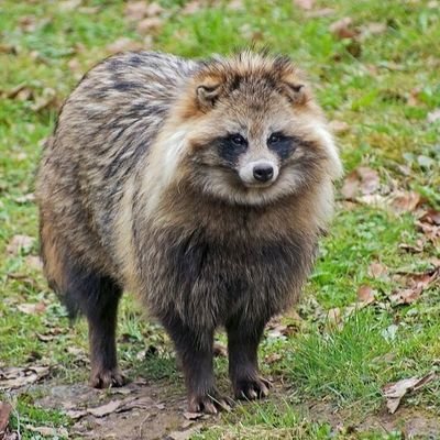 toshiyuki3000's profile picture. 神戸在住。日本が大好き。弱きものになるかもしれないので、「左派」ではなく「下派」。マルキシズムの労働観に納得出来ないので今のところは「社会的共通資本主義」者です。良いねは、読んだよという意味でした。