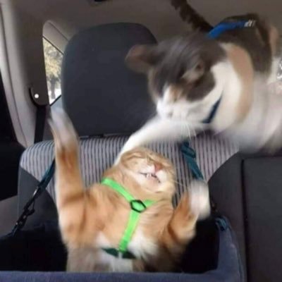 AmrHany94's profile picture. 