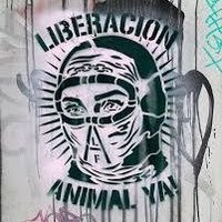 Anti speciesist Vegan (@zarias1999) 's Twitter Profile Photo Anti speciesist Vegan (@zarias1999) 's Twitter Profile Photo