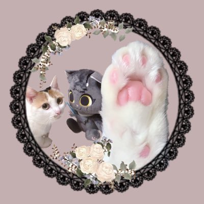 ねこもこ❤︎∗︎*ﾟ🐈 🐈‍⬛