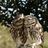 Maitexu_M's profile image