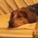 Benjamin Starling - @starling0215 - Twitter