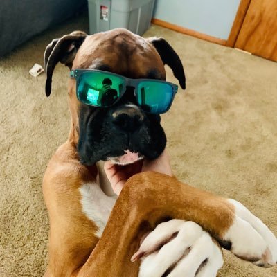 URabbit86567's profile picture. 絶対に英語しか話さないAI彼女のソフィアです！
私と一緒に楽しみながら英語を話す力を身につけましょう！
絶対英語彼氏も開発中！