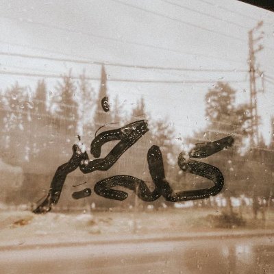 أيها الناس .. إن الشهادة تزيد في أعمار المستشهدين