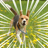 510_henry's profile picture. 測量会社→河川計画とか防災とかのコンサルタント。大学では気象とかGISとか。
技術士(総監・建設部門:河川)/測量士補/防災士/河川点検士