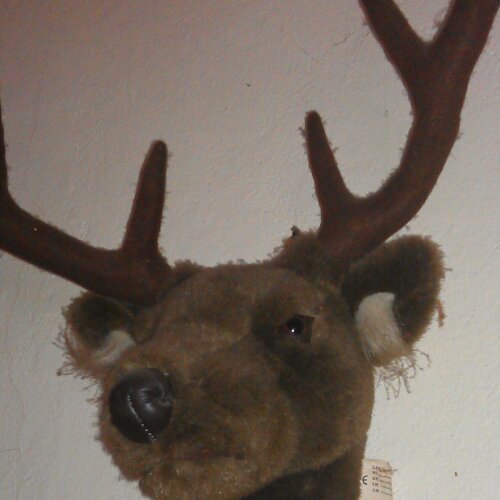 radiohangmat's profile picture. Sedert 2003 (of was het 2004) een jaarlijkse muzikale potpourri met playlists, liveshows, bandsessies en poetische uitspattingen.