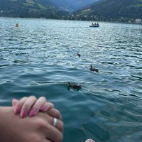 Amal (@moly_133) 's Twitter Profile