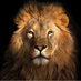 James Johnson (@jamesbe18838447) Twitter profile photo James Johnson (@jamesbe18838447) Twitter profile photo