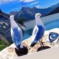 ابو عادل العقيلي (@bandr305m) 's Twitter Profile