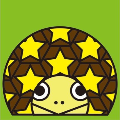 startortoise123 Profile Picture