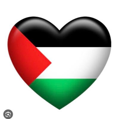 Sou Palestina🇵🇸🇮🇷🇪🇭 Profile