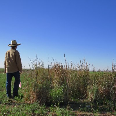 Rangelands & native seed development. “Man of the land.” Cross Timbers native. Eagle Scout. Pro-land, pro-union, pro-labor, pro-fire. Of course tweets are mine.