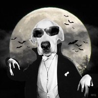 Gunner(Rip Odie ) (@tweetypie54) 's Twitter Profile Photo Gunner(Rip Odie ) (@tweetypie54) 's Twitter Profile Photo