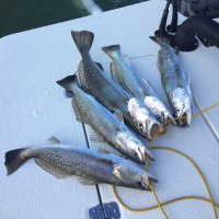 TXSportsman (@olfldguy) 's Twitter Profile