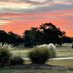 LIVE OAKS GOLF CLUB (@liveoaksgolf) Twitter profile photo LIVE OAKS GOLF CLUB (@liveoaksgolf) Twitter profile photo