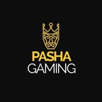 PashaGaming(@PashaGamingPlay) 's Twitter Profile Photo