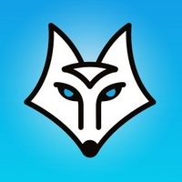 CyberFOX(@CyberFoxLLC) 's Twitter Profile Photo