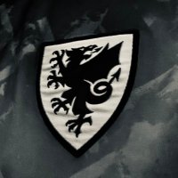 Welsh (@walesawayduty) 's Twitter Profile