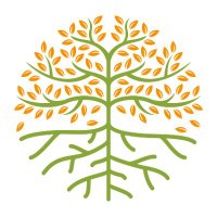 Roots & Branches Social Enterprise Leadership(@LeadershipRoots) 's Twitter Profile Photo