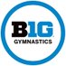 Big Ten Gymnastics (@B1GGymnastics) Twitter profile photo