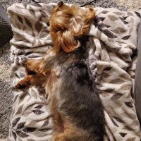 Gen X (@rockhound151) 's Twitter Profile Photo