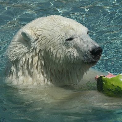 DinoNumgies's profile picture. eternal return free on steam
@MakiAtoh ❤️