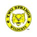 Two Springs Elementary School (@TSWildcats_BPS) Twitter profile photo