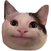 Mailo ˙𐃷˙ (@twomilio) Twitter profile photo Mailo ˙𐃷˙ (@twomilio) Twitter profile photo