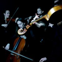Reykjavík Orkestra (@rrorchestra) 's Twitter Profile