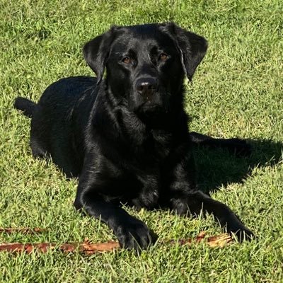 worldzbestd's profile picture. 