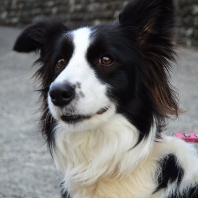 kataken14's profile picture. 日本の行く末を憂う者。保守の輪を広げよう。明大商卒。