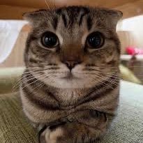 stabx1's profile picture. 