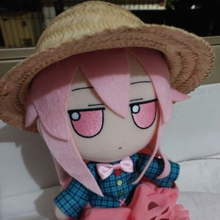 Hello from Brazil🇧🇷 

Plushies from Touhou Project