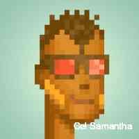 seemcarlotte's profile picture. Crafting unique nfts, transforming digital spaces into art galleries