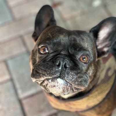 AnonyMISS213's profile picture. 