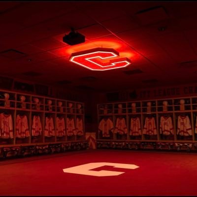 Home of Cornell Big Red Ice Hockey! Unabashed supporter! I tweet about CU hockey & related subjects. I'm odd & fun.
