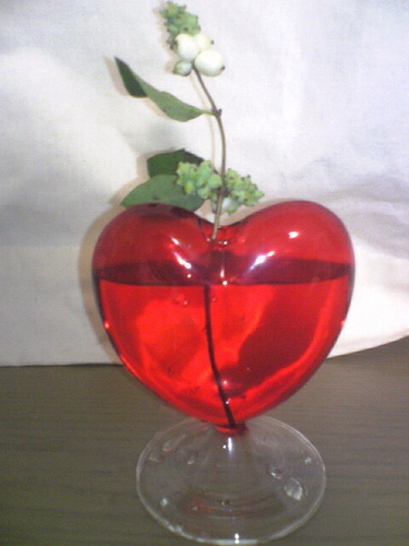 nadukiyuri's profile picture. 特技のない中年。求職中。絵本の100万回生きたねこが大好きです。国民の権利が減退する憲法改正反対。フォローファボRTについては、賛同の意思表示とは限りません。フォロー非推奨。つぶやきはフィクション含みます。