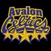 Avalon Celtics U13A (@CelticsU13A) Twitter profile photo