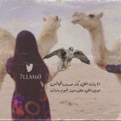 7lLM60 Profile Picture
