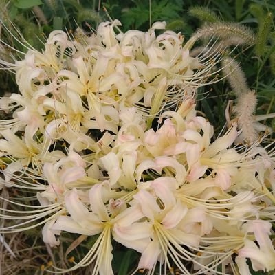 Kotozi_220412's profile picture. 絵メインの趣味用で作成した垢です。
鳥や動物も好きなのでそれ関連で「いいね」したりします。見る専です。
絵の展示会に行って版画買いました。
誰にも知られずひっそりとしてます((( _(　_'ω')_　ｺｿｺｿ