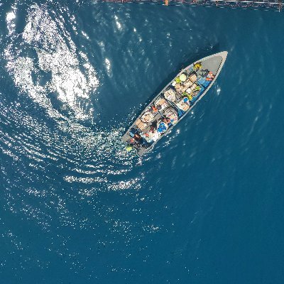 unione570581's profile picture. 