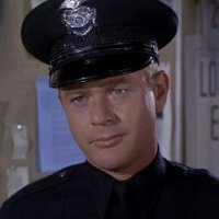Officer Peter Malloy (Parody)(@OfficerMalloy) 's Twitter Profile Photo