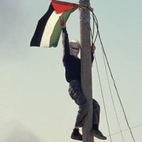 END THE SIEGE ON GAZA NOW. CEASEFIRE NOW.(@cyberspacelean) 's Twitter Profile Photo