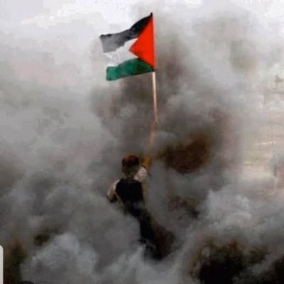 JamshaidRiaz112's profile picture. 